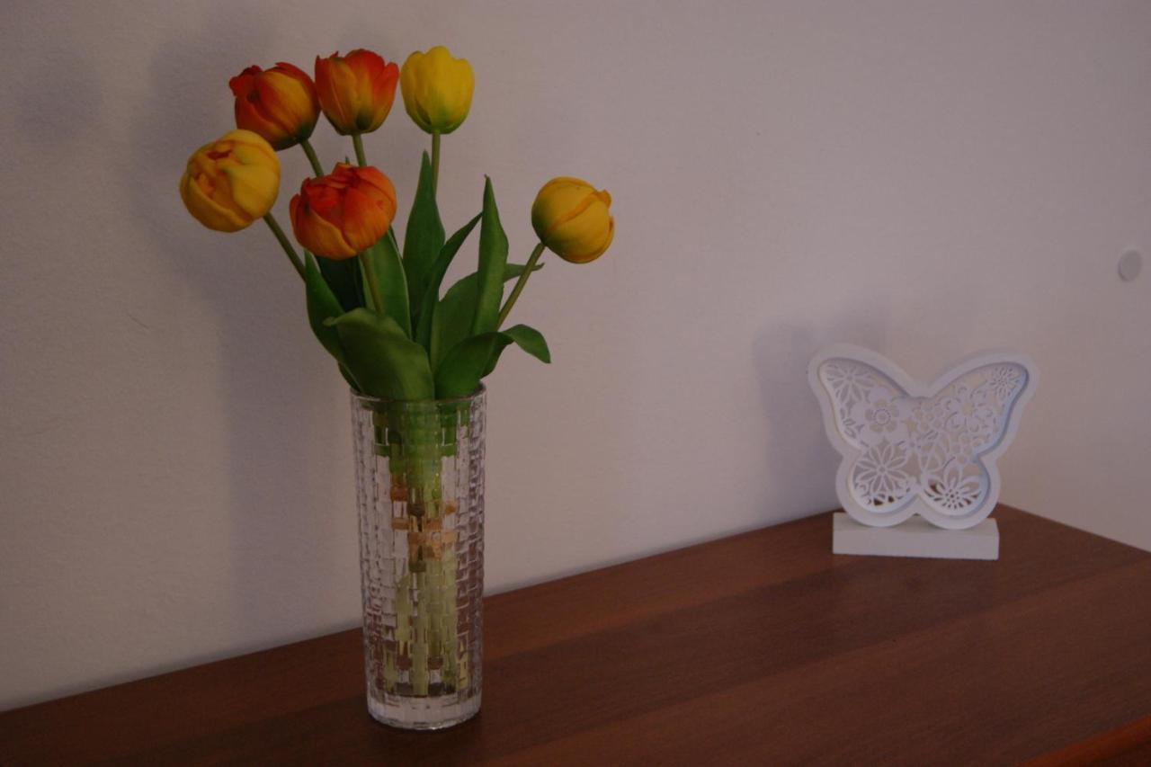 Apartment Lynx โคเรนนิซา ภายนอก รูปภาพ